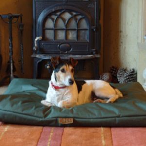 Waterproof cushion dog bed, heavy duty easy‑clean pet mattress for crates, cars and utility rooms.