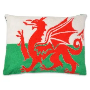 Dragon - Cushion Dog Bed Cheap Deep Pillow